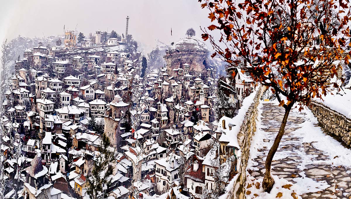 muta-morfoz_no6_murat-germen-2010-170x105cm
